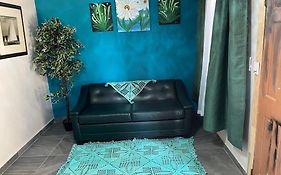Departamento Tulipan